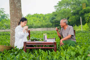 Ngồi uống trà