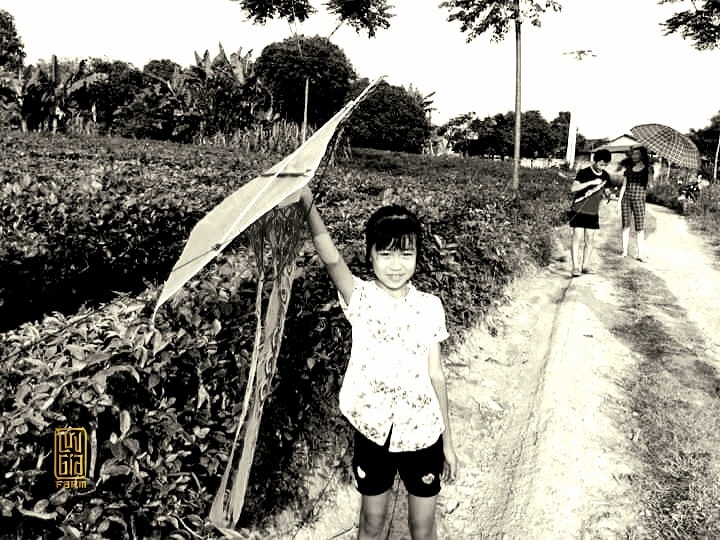 luu-gia-farm