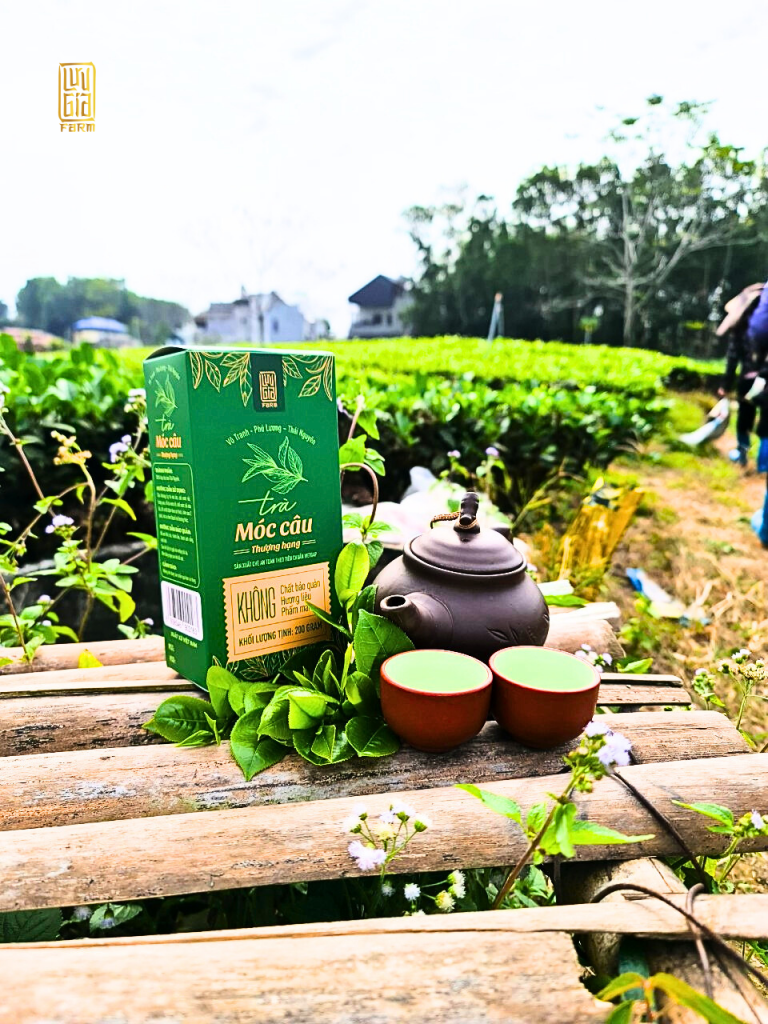 Trà Móc Câu Thượng Hạng Lưu Gia Farm