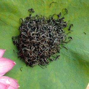 Trà móc câu Thái Nguyên