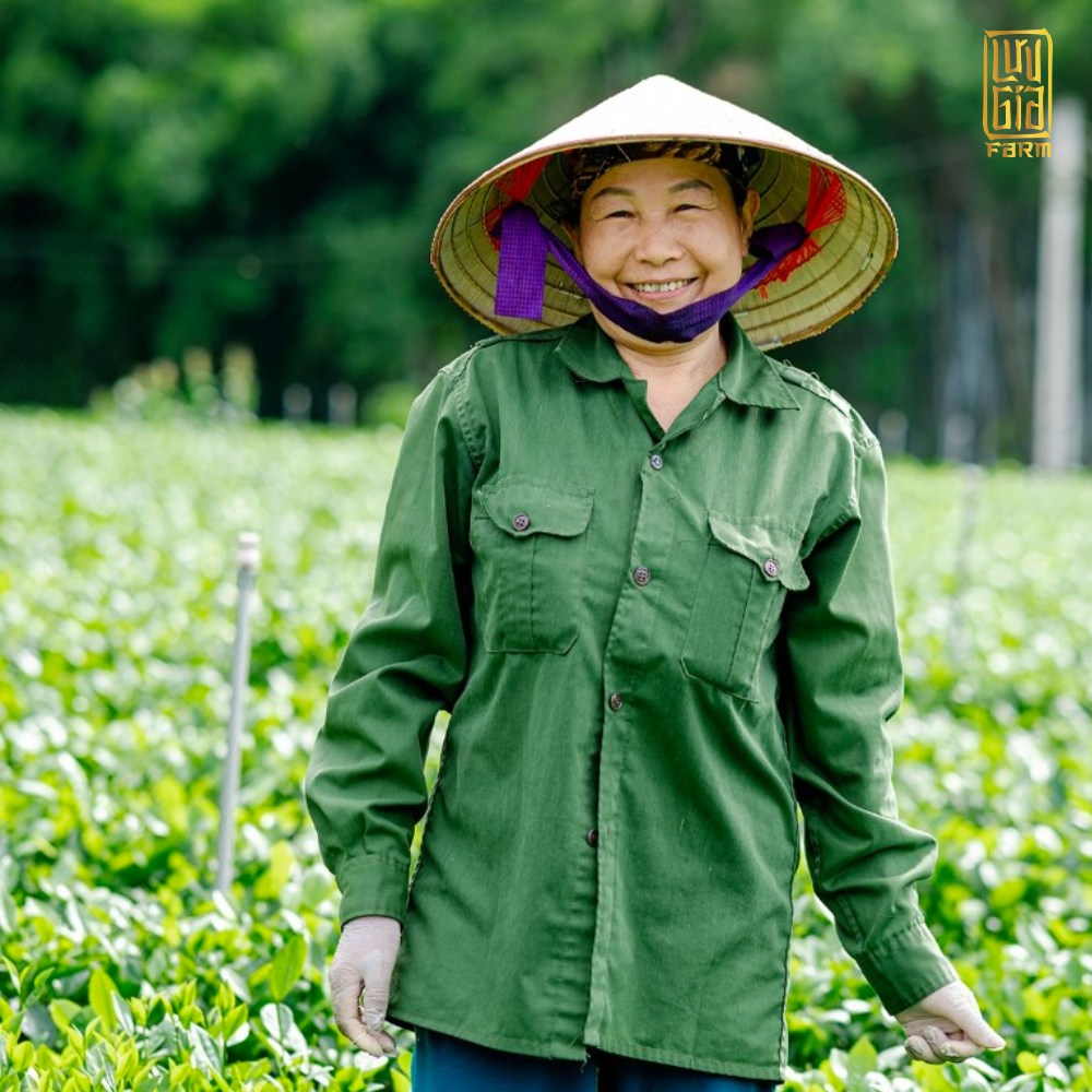 LƯU GIA FARM – NÔNG TRẠI GIA TỘC HỌ LƯU