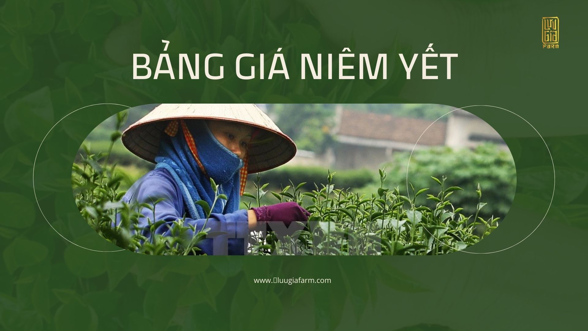 Giá cả hàng hoá của Lưu Gia Farm